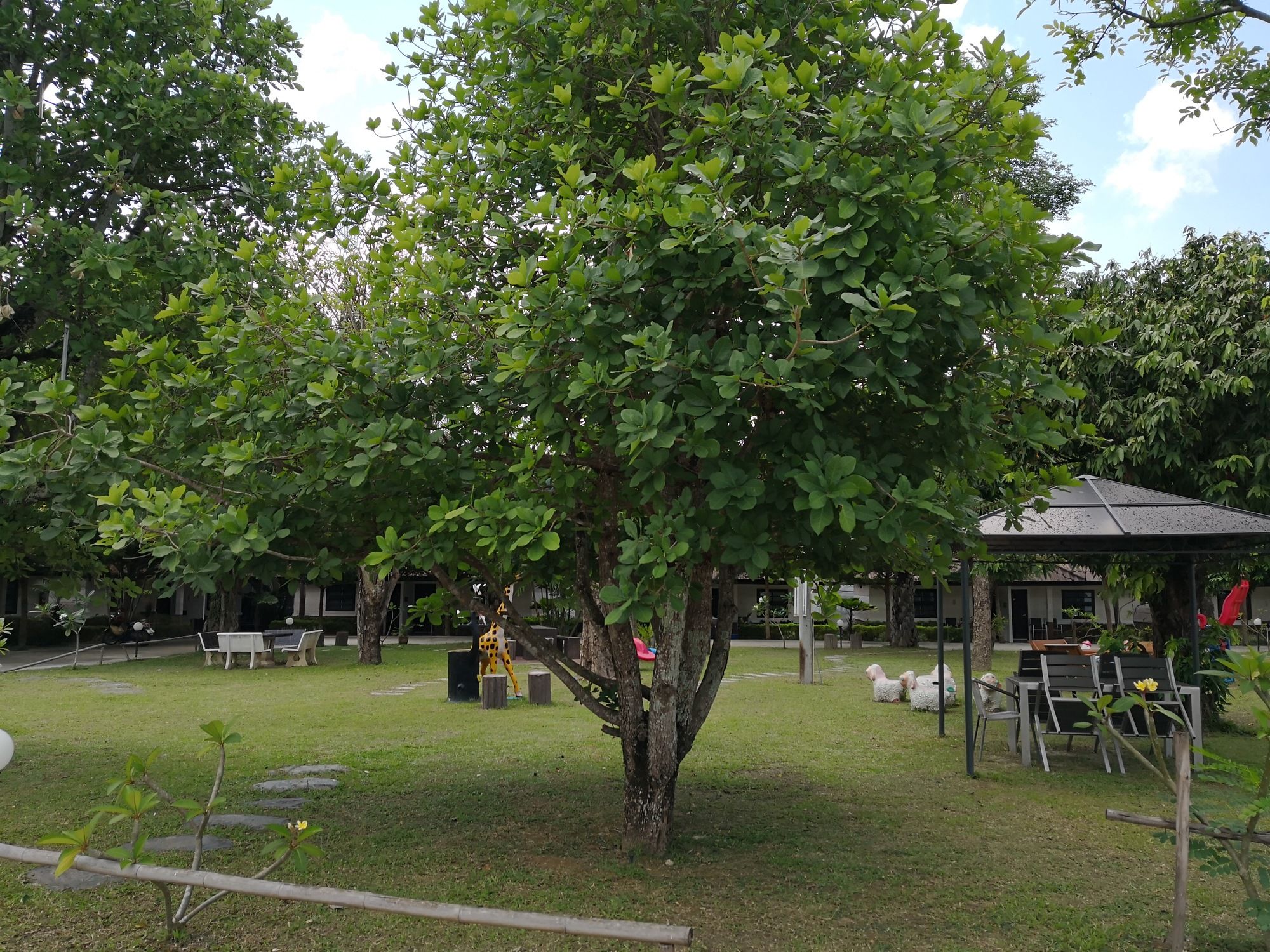 Chiangrai Greenpark Resort