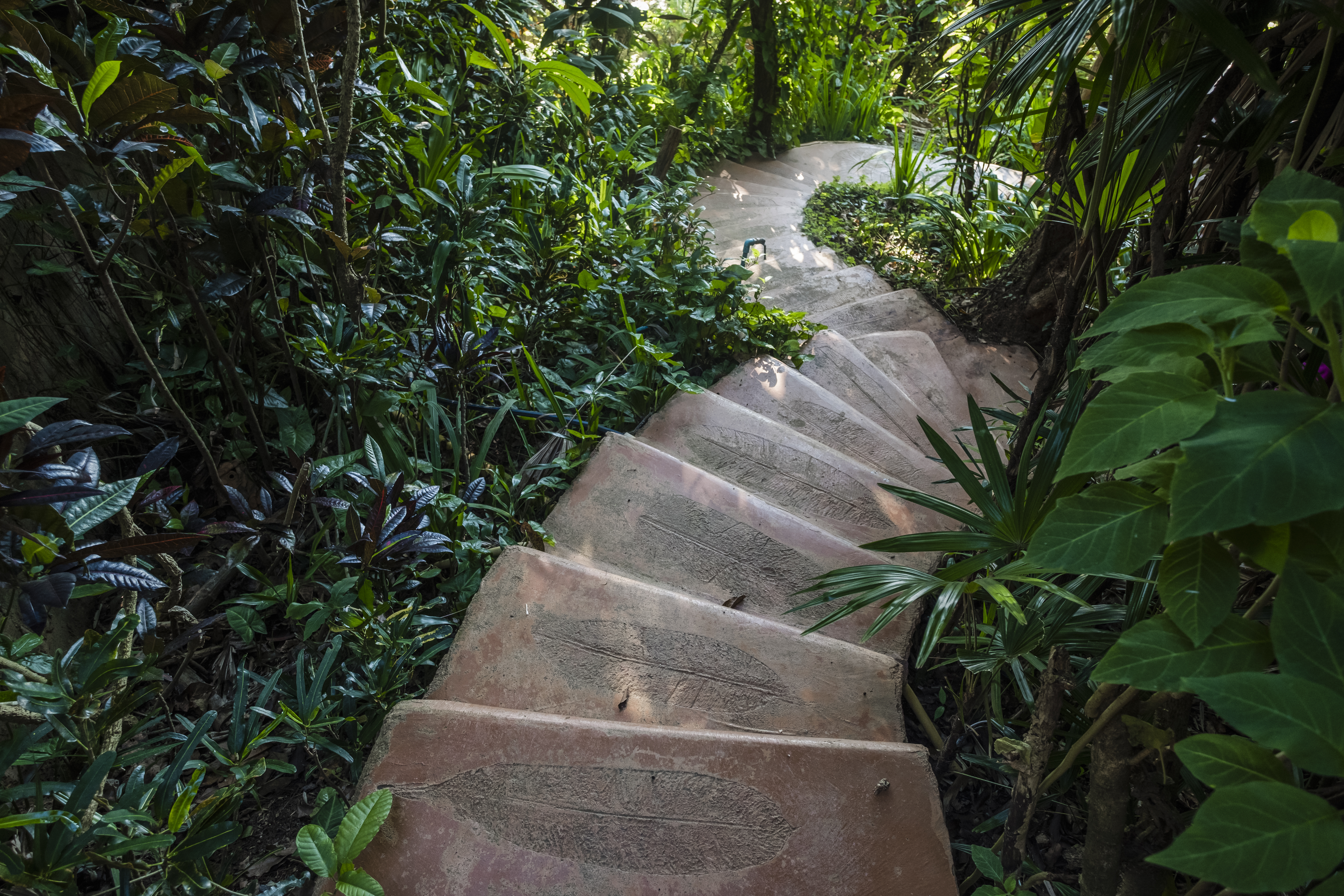 Phu Chaisai Mountain Resort & Spa
