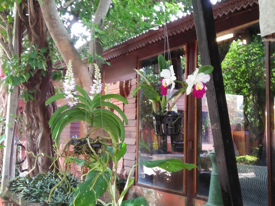 The Resort Baan Tawai