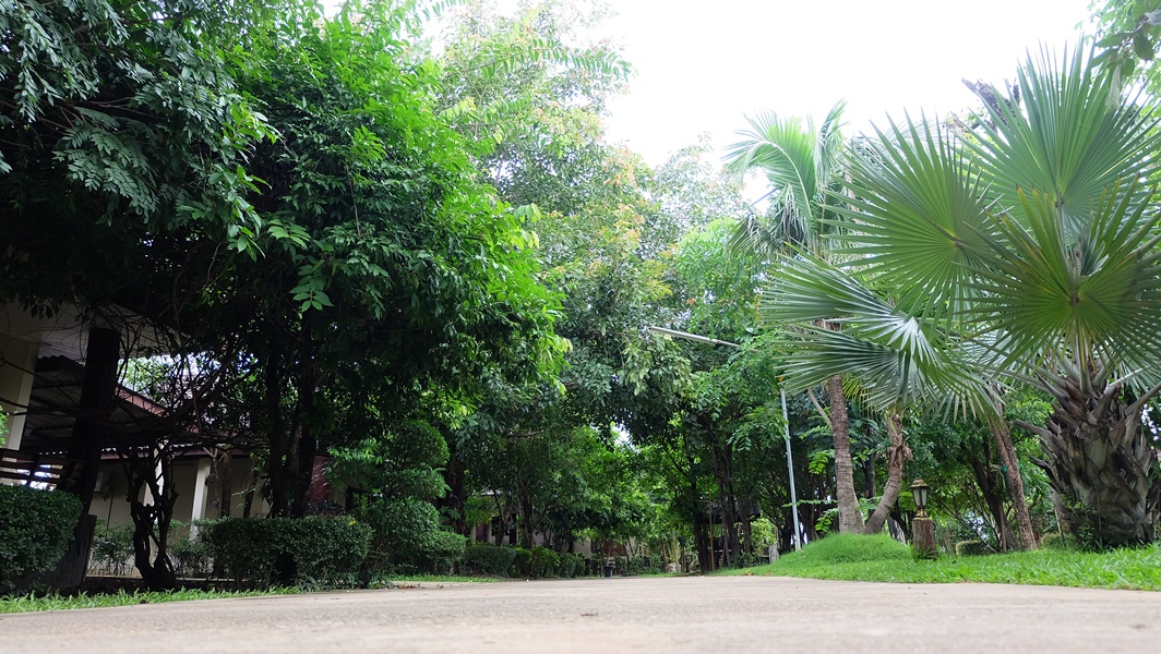 Mai Yai Resort