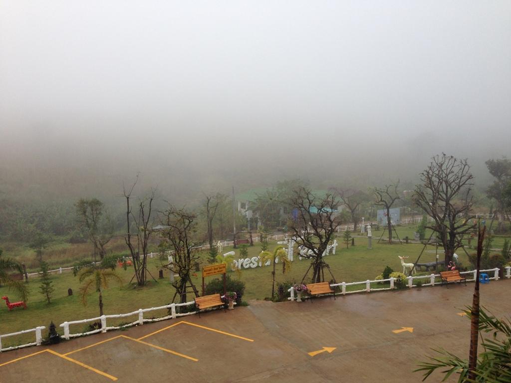Foresta Hill Resort