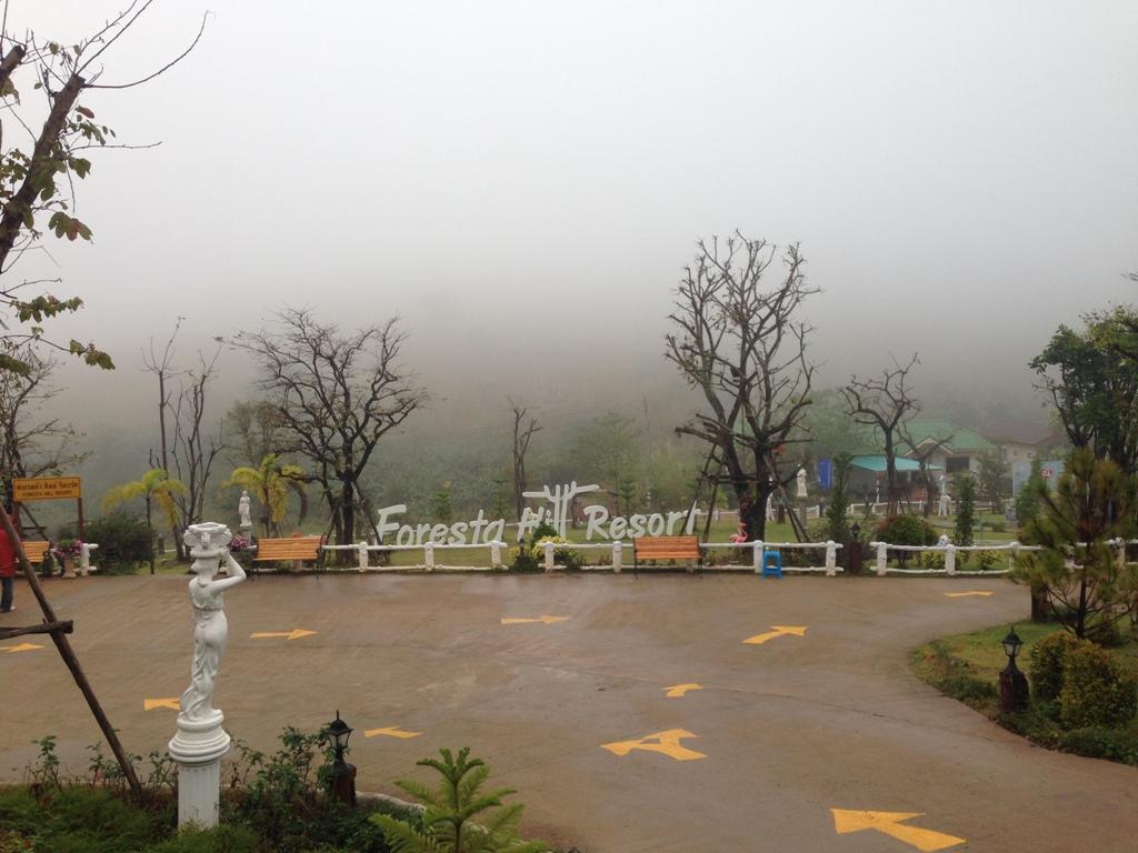 Foresta Hill Resort