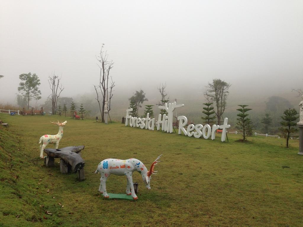 Foresta Hill Resort
