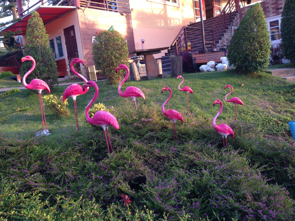 Foresta Hill Resort