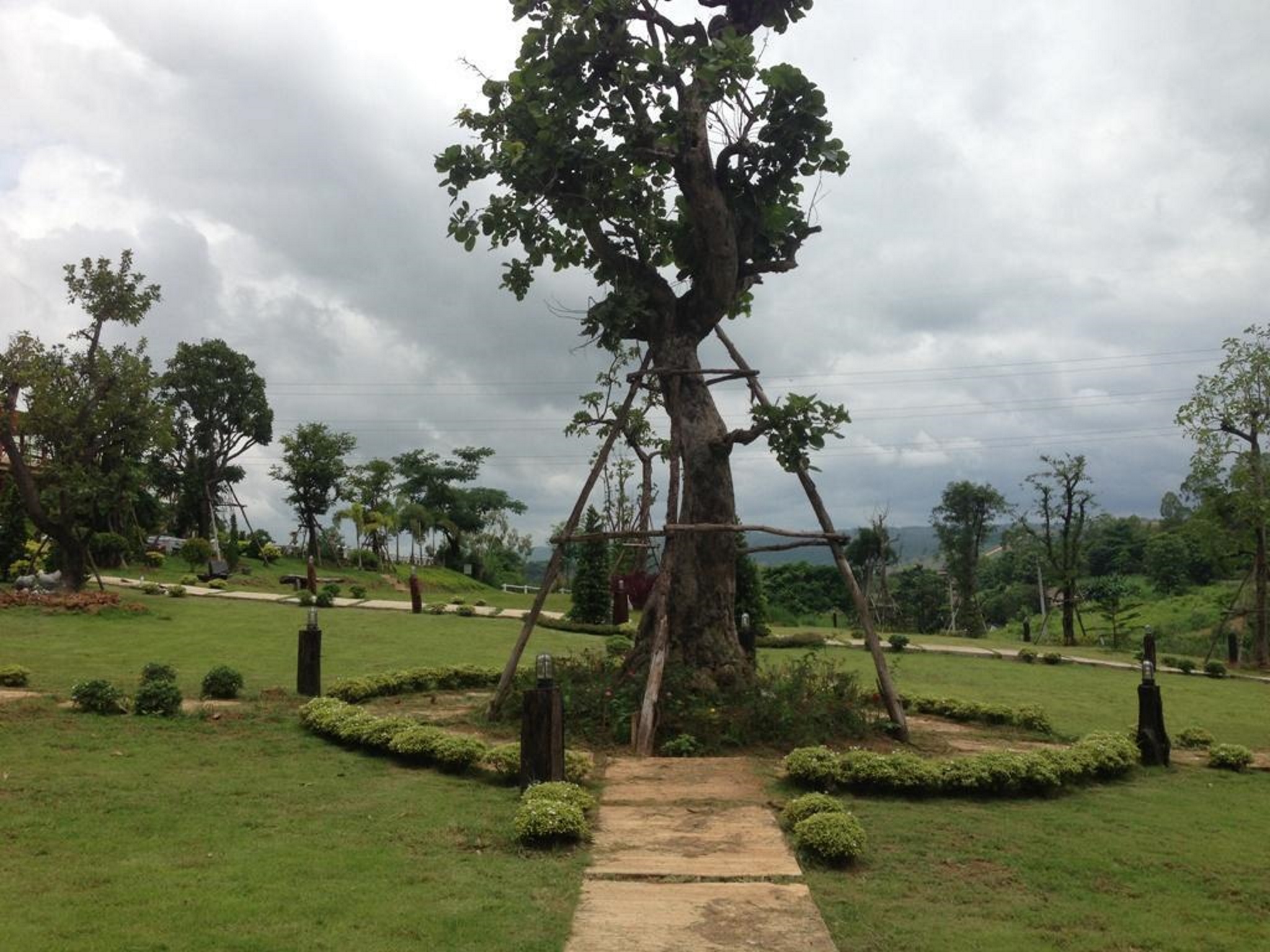 Foresta Hill Resort