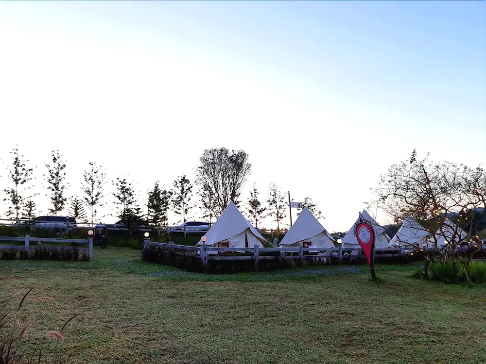 Kondee Cino Glamping
