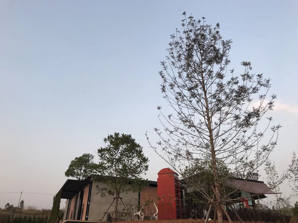 Kondee Cino Glamping