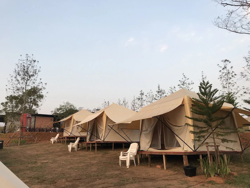 Kondee Cino Glamping