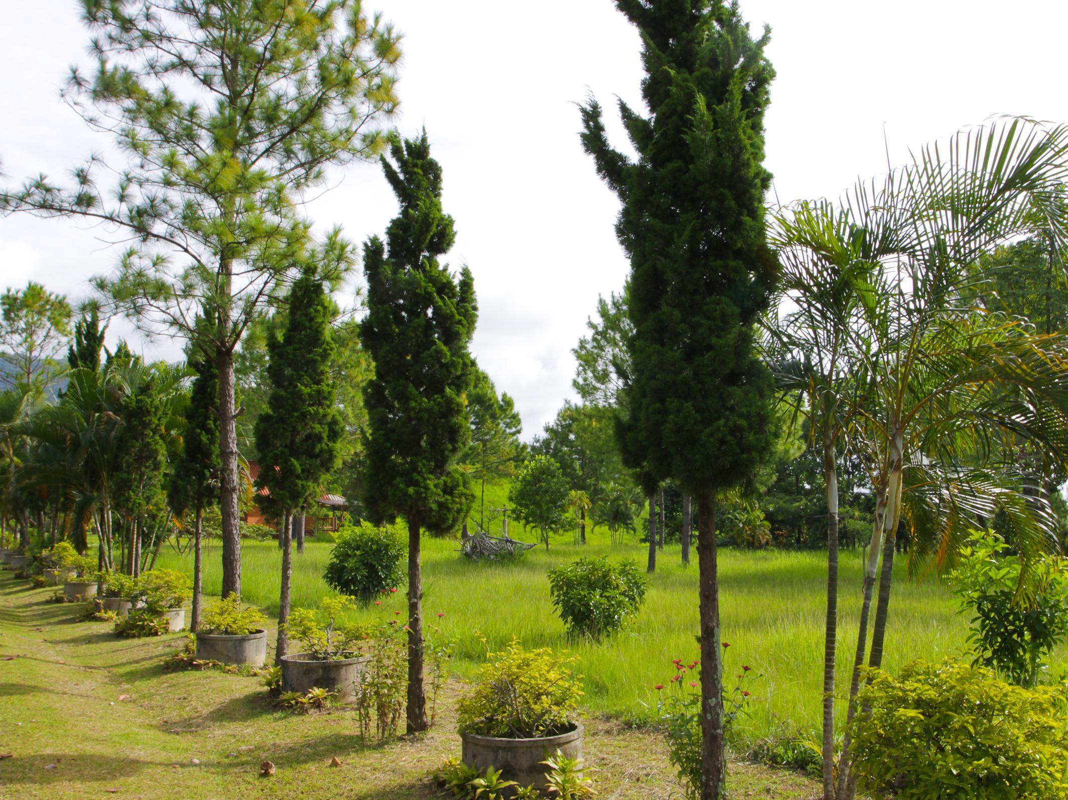 Phucome Resort