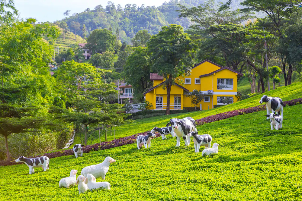 Phukaew Resort & Adventure Park