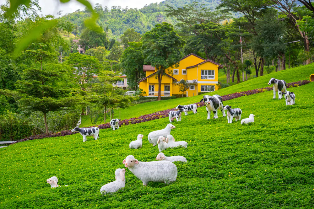 Phukaew Resort & Adventure Park