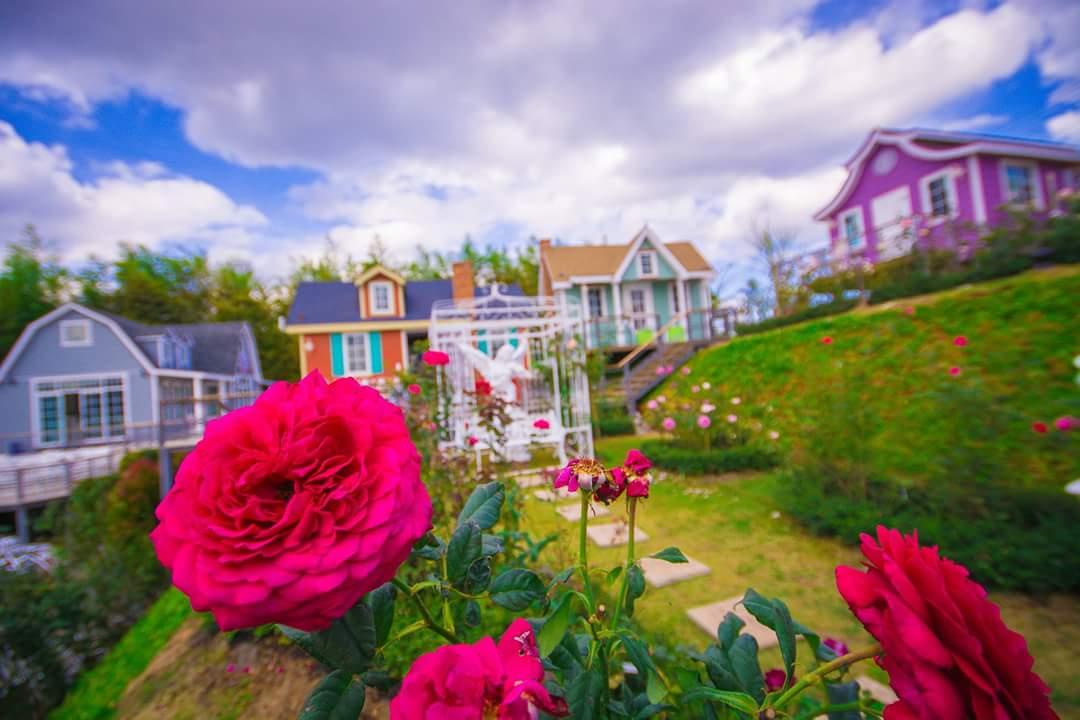 Vin View Rose Garden Resort