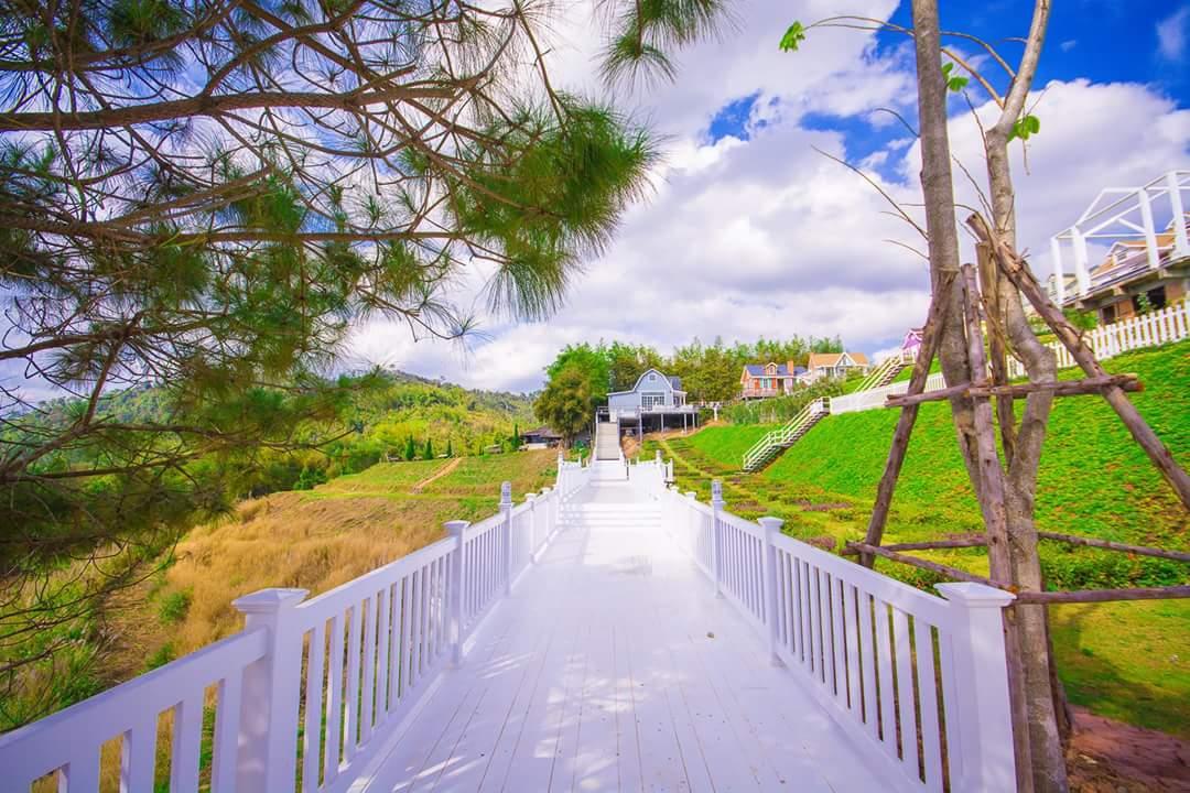 Vin View Rose Garden Resort
