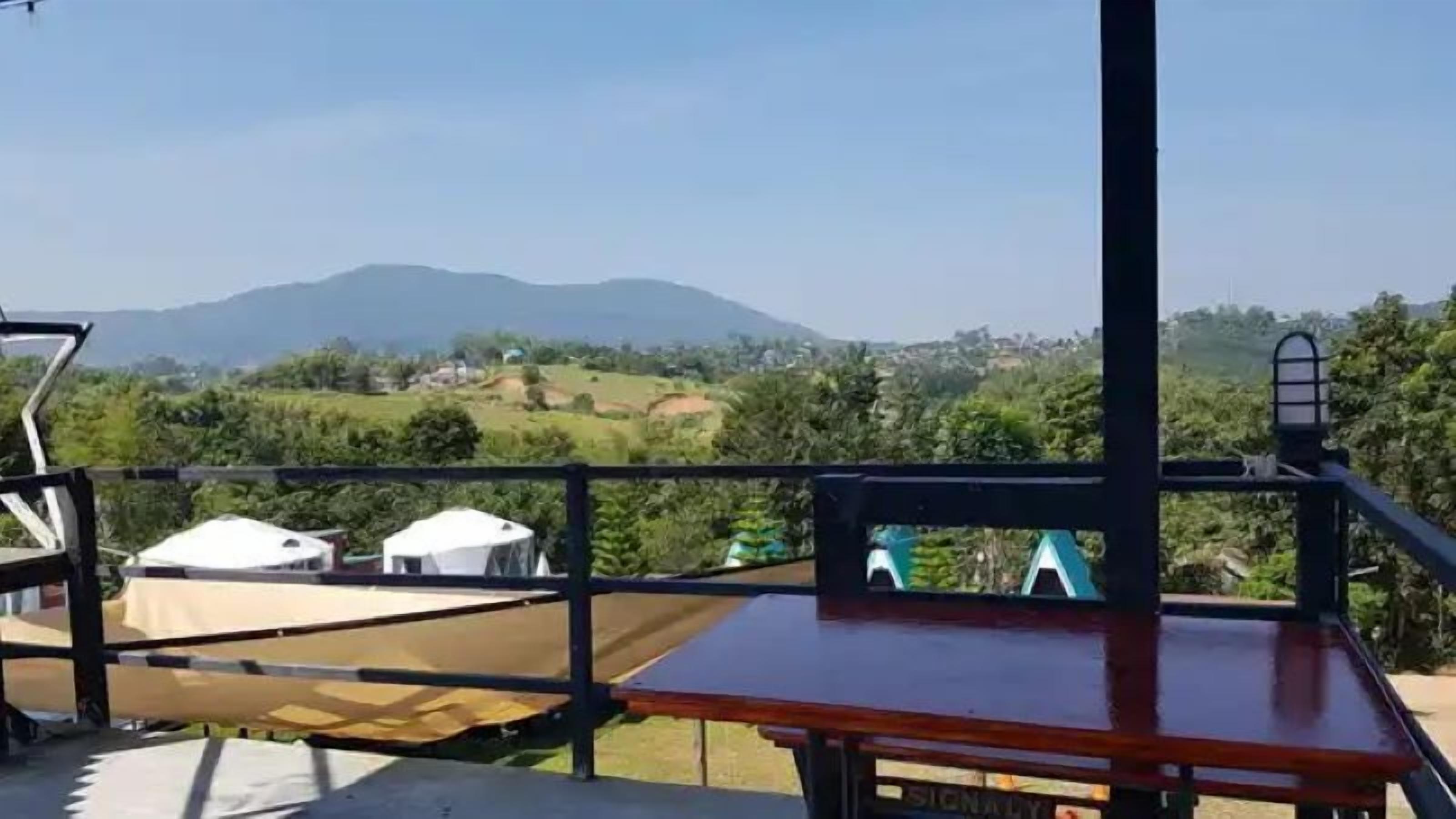 Yellowstone Cheewa View