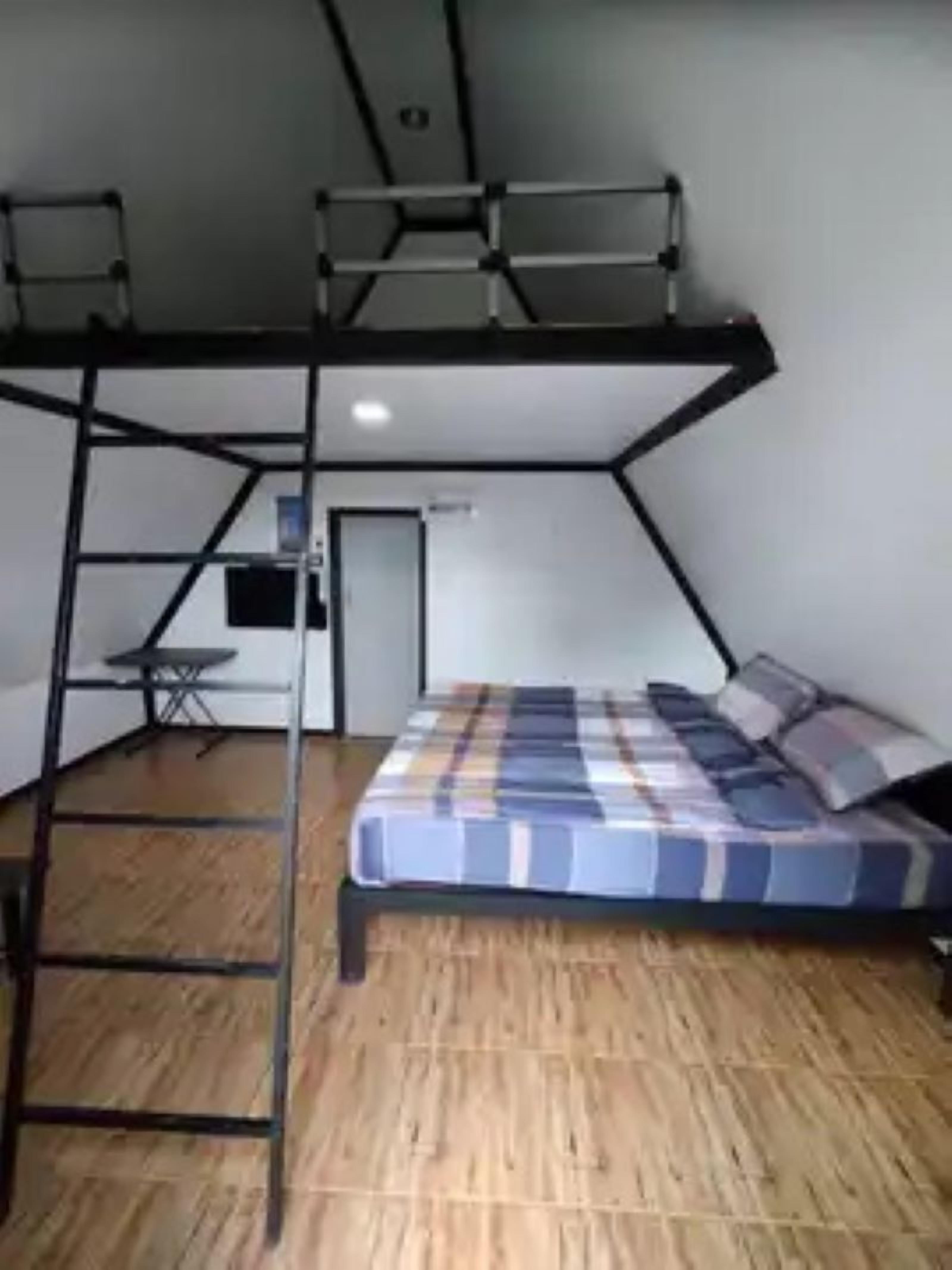 Yellowstone Cheewa View