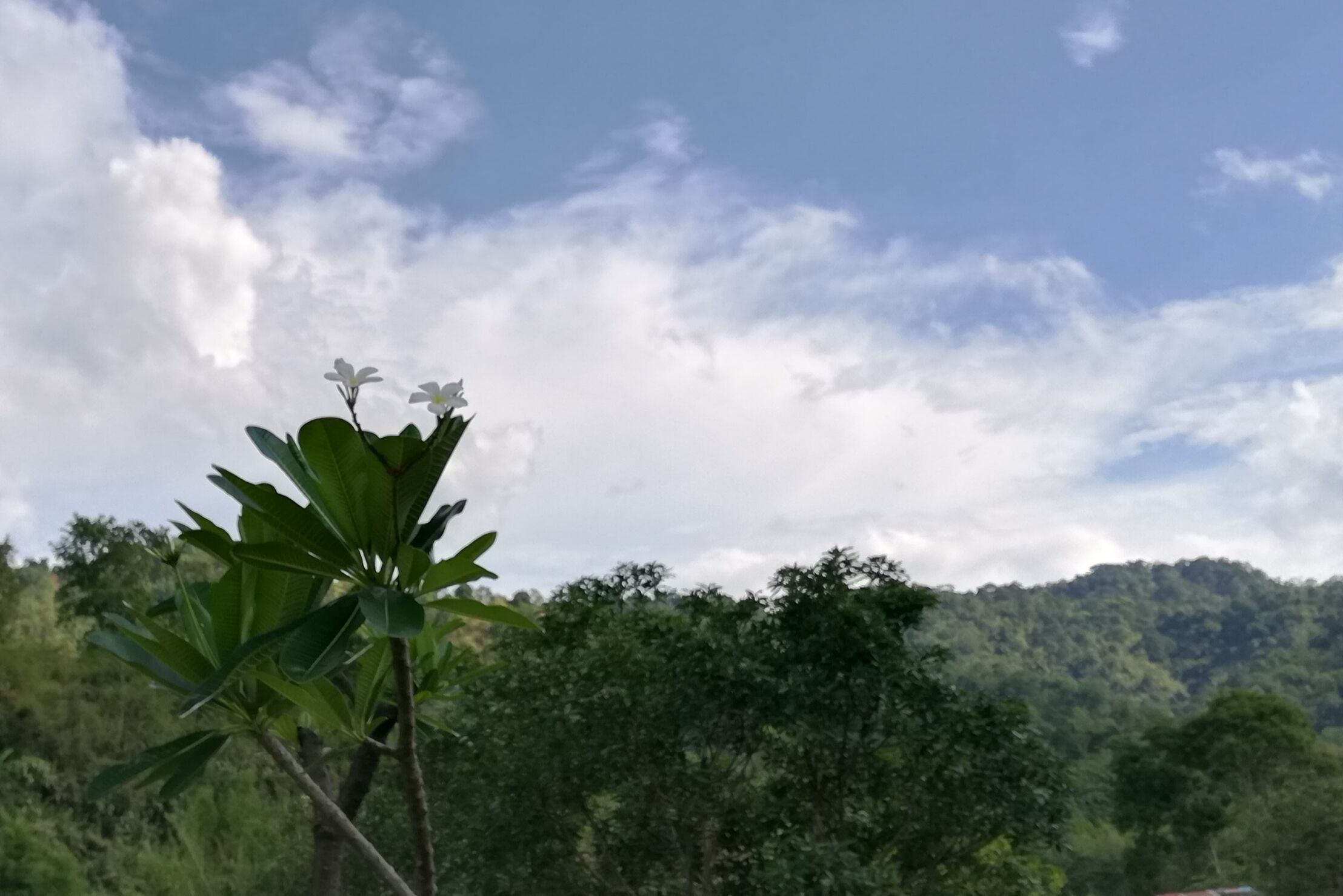 Bondoi Lampang