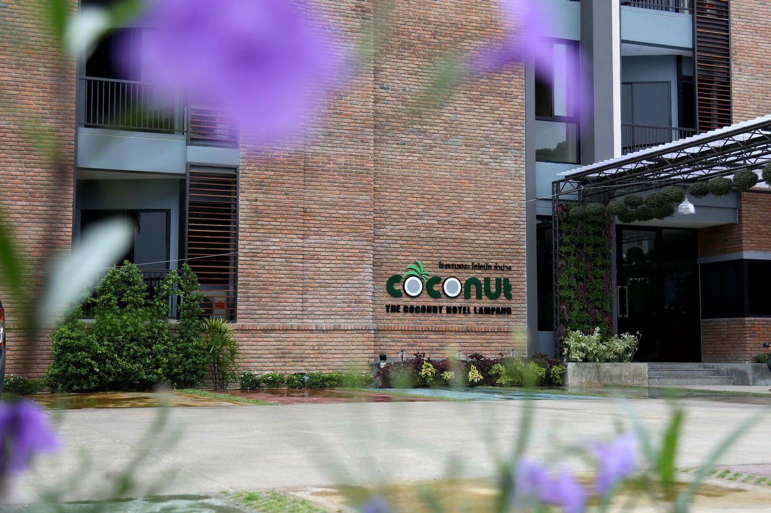 The Coconut Hotel