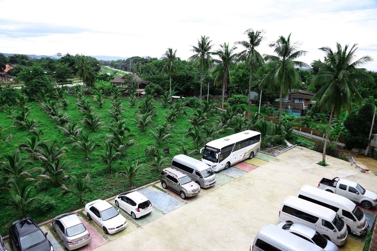 The Coconut Hotel