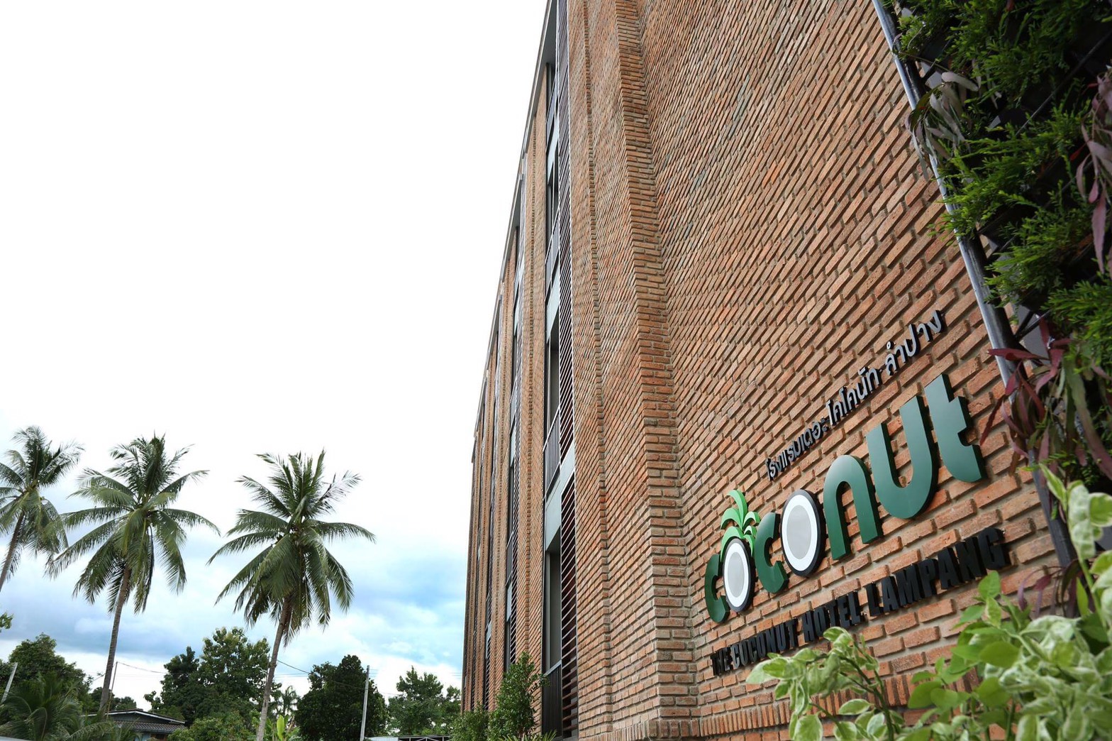 The Coconut Hotel