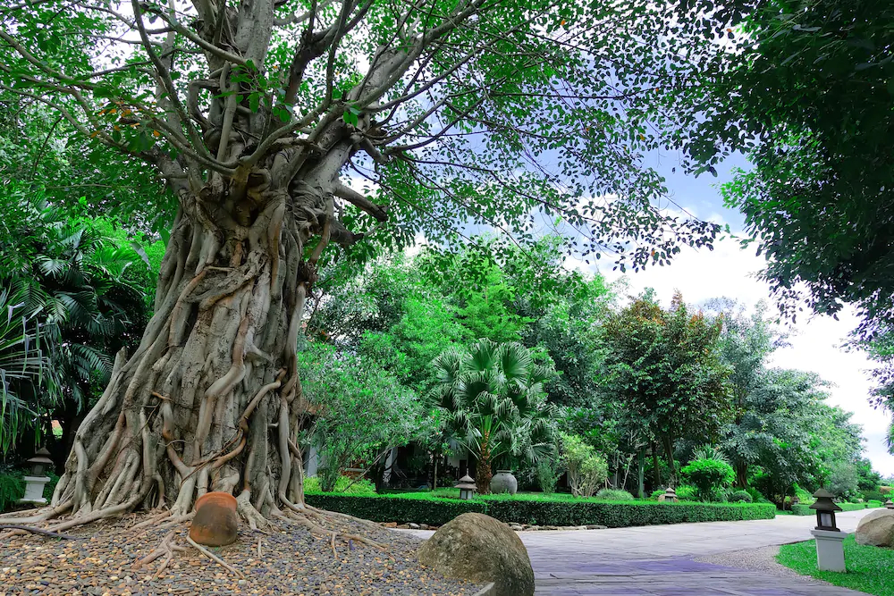 Khum Nakorn Villa