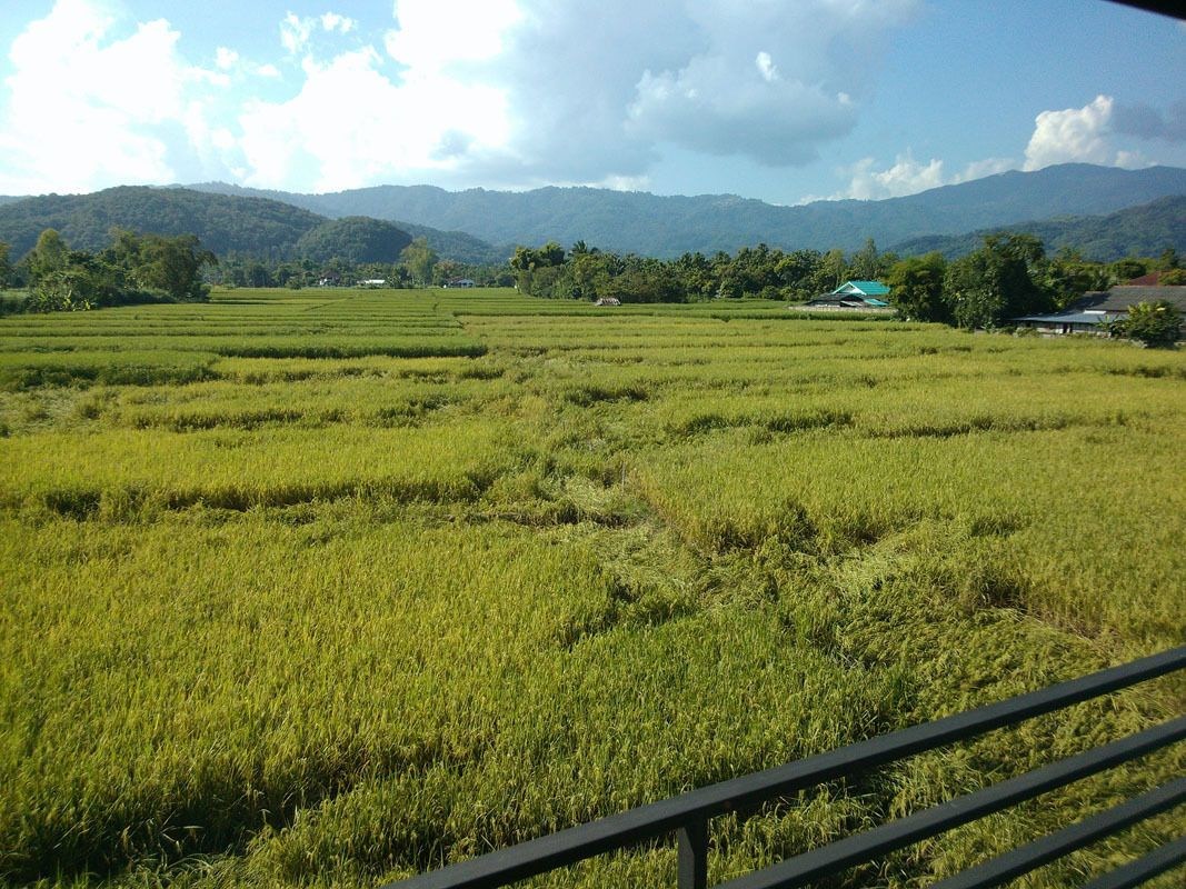 Nangfa Mini
