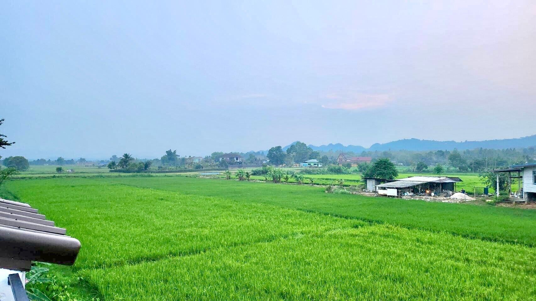 The Green Season Resort Chiang Rai