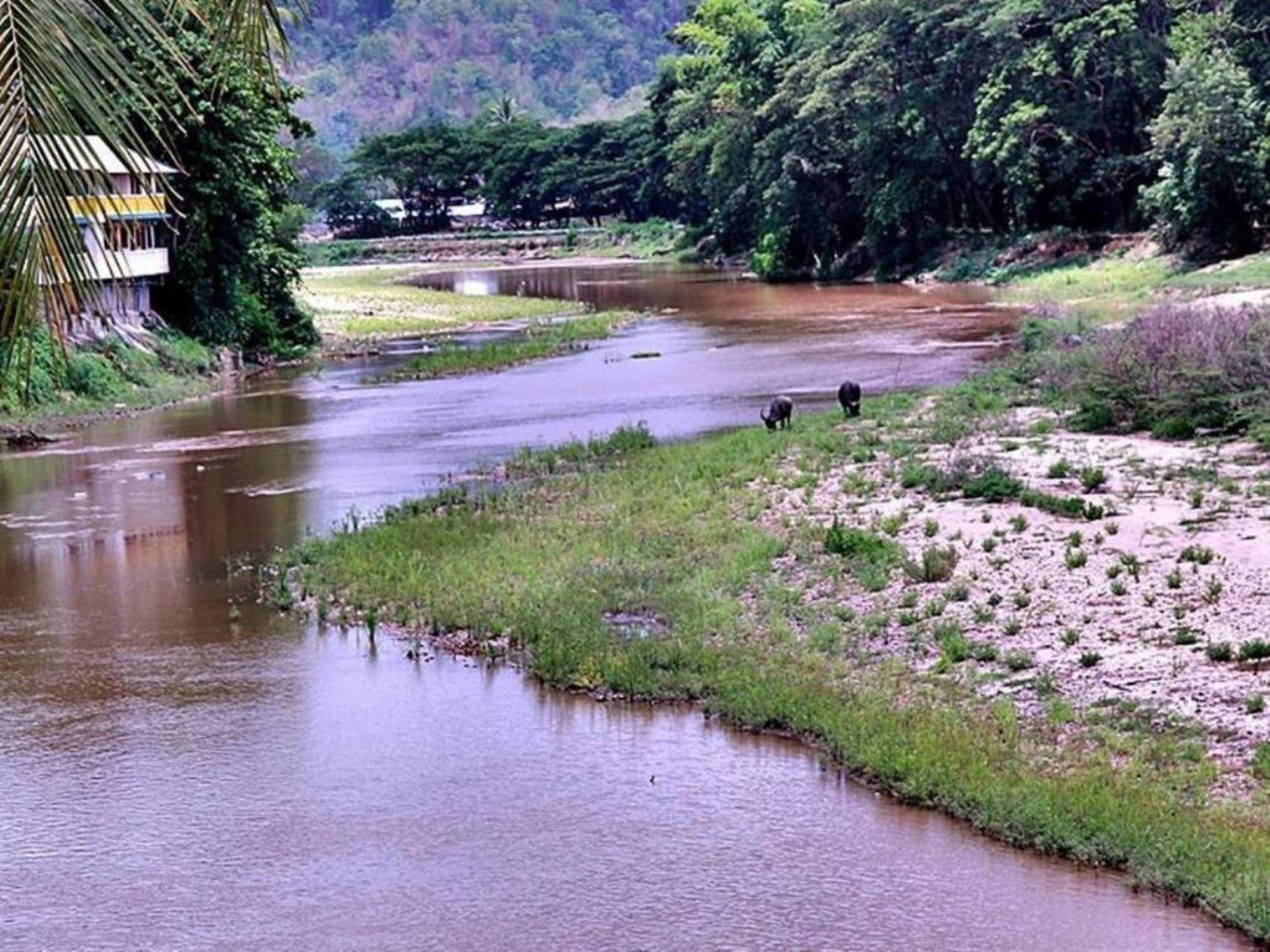 River Bank Resort
