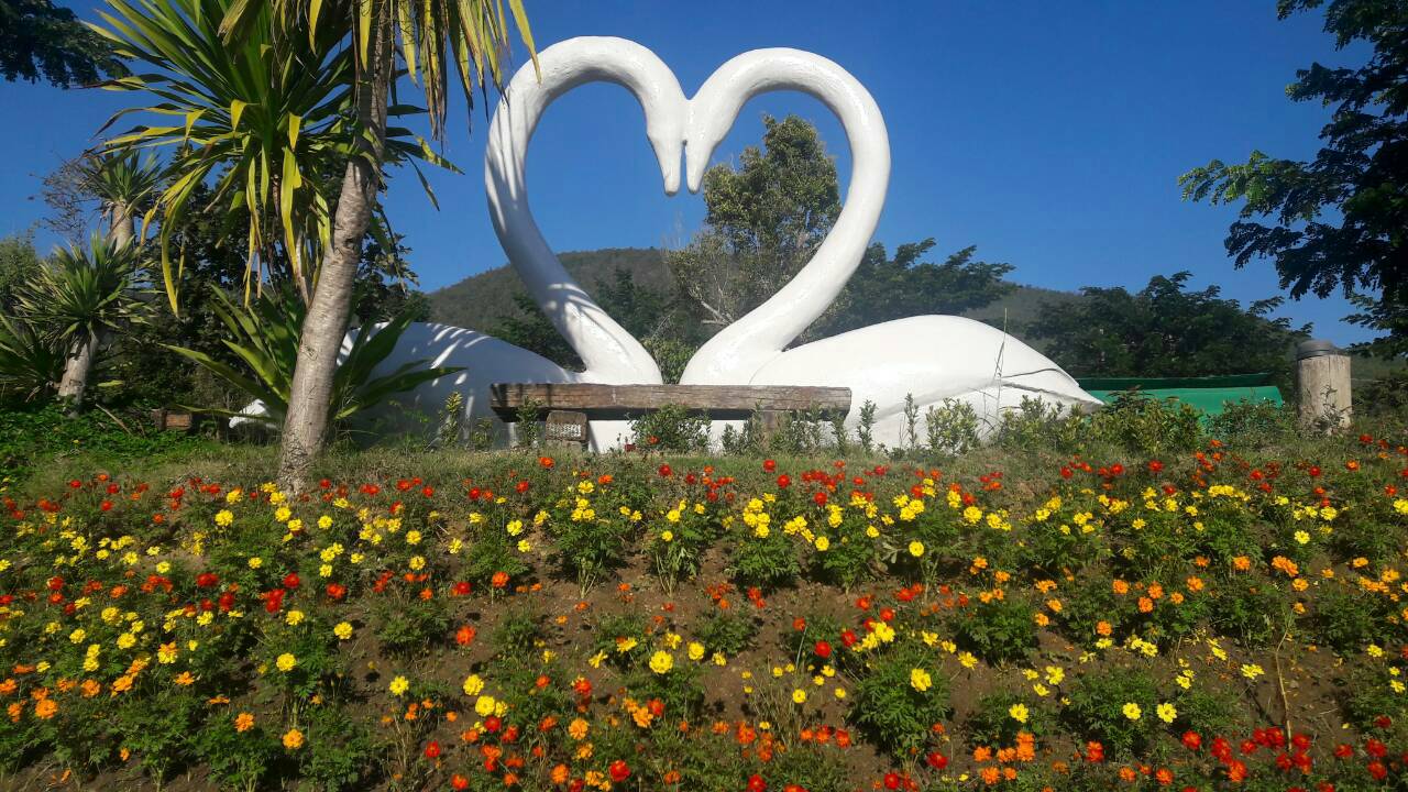 Lakeview Resort
