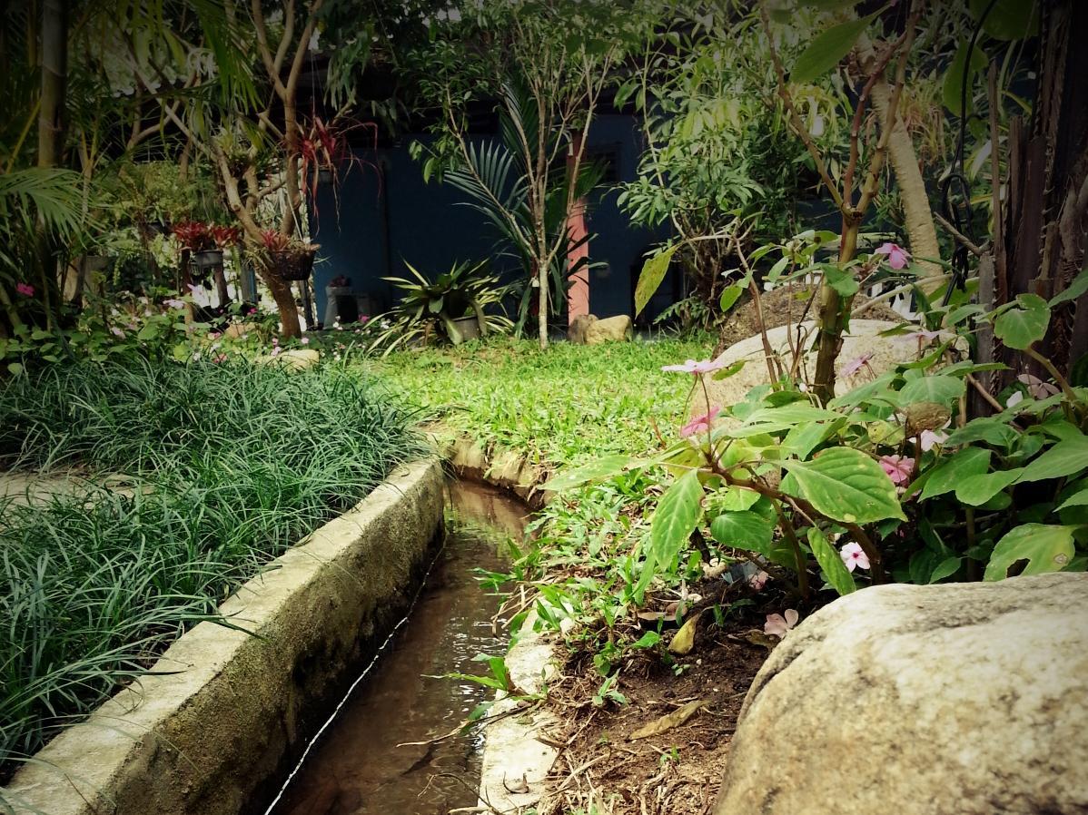Pallada Bromeliads Garden & Resort