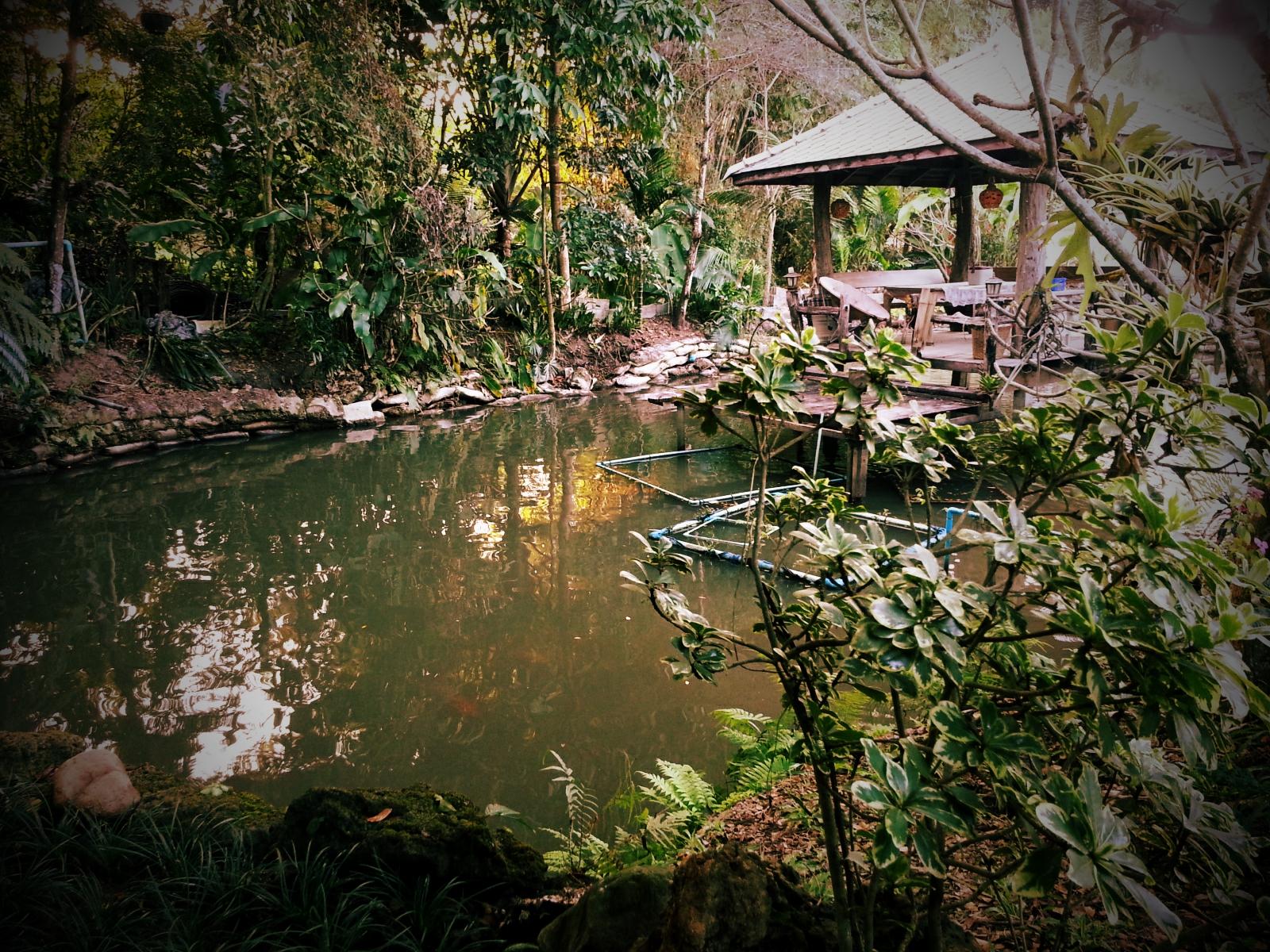 Pallada Bromeliads Garden & Resort