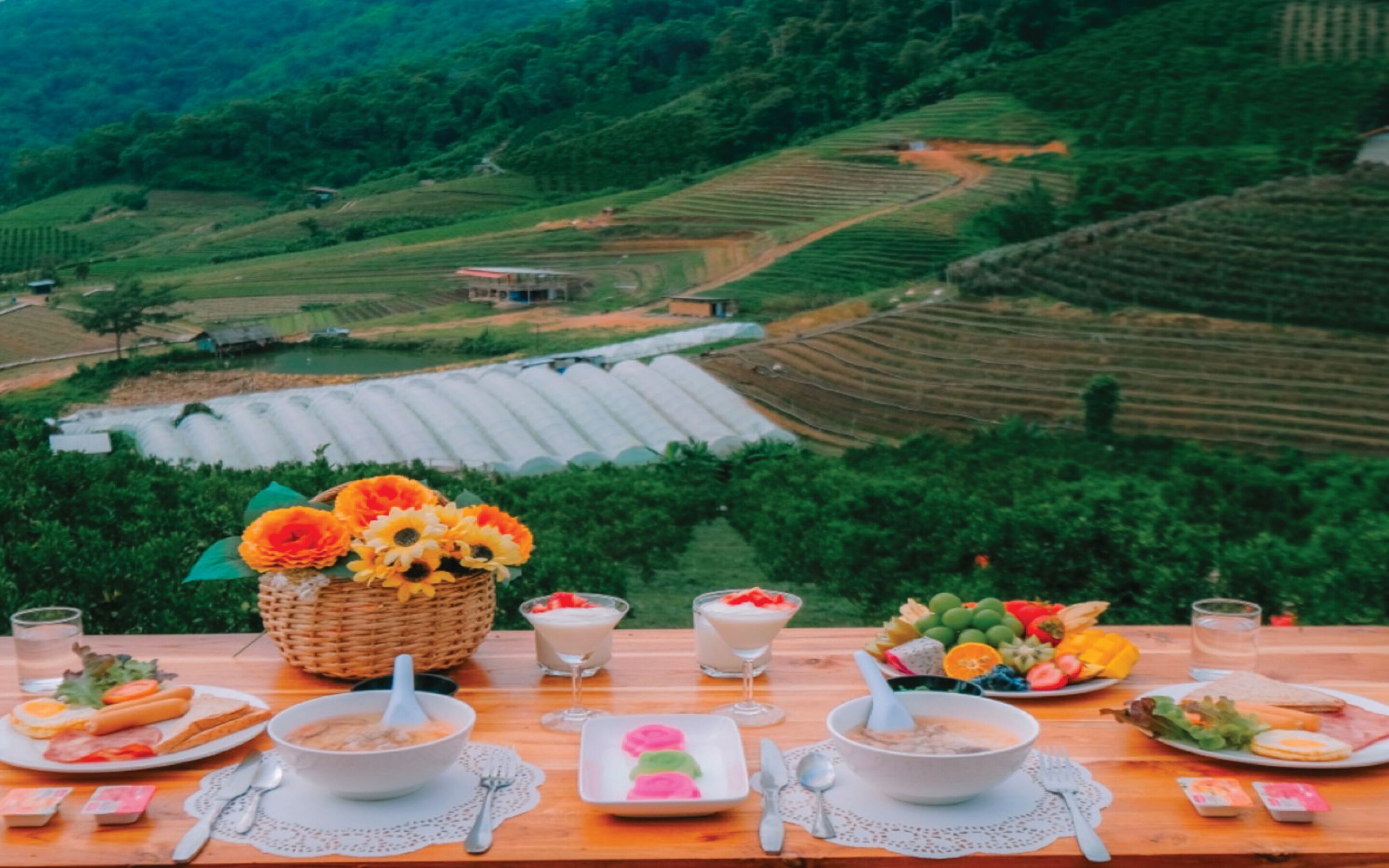 Paopao Orange Farm And Home Stay