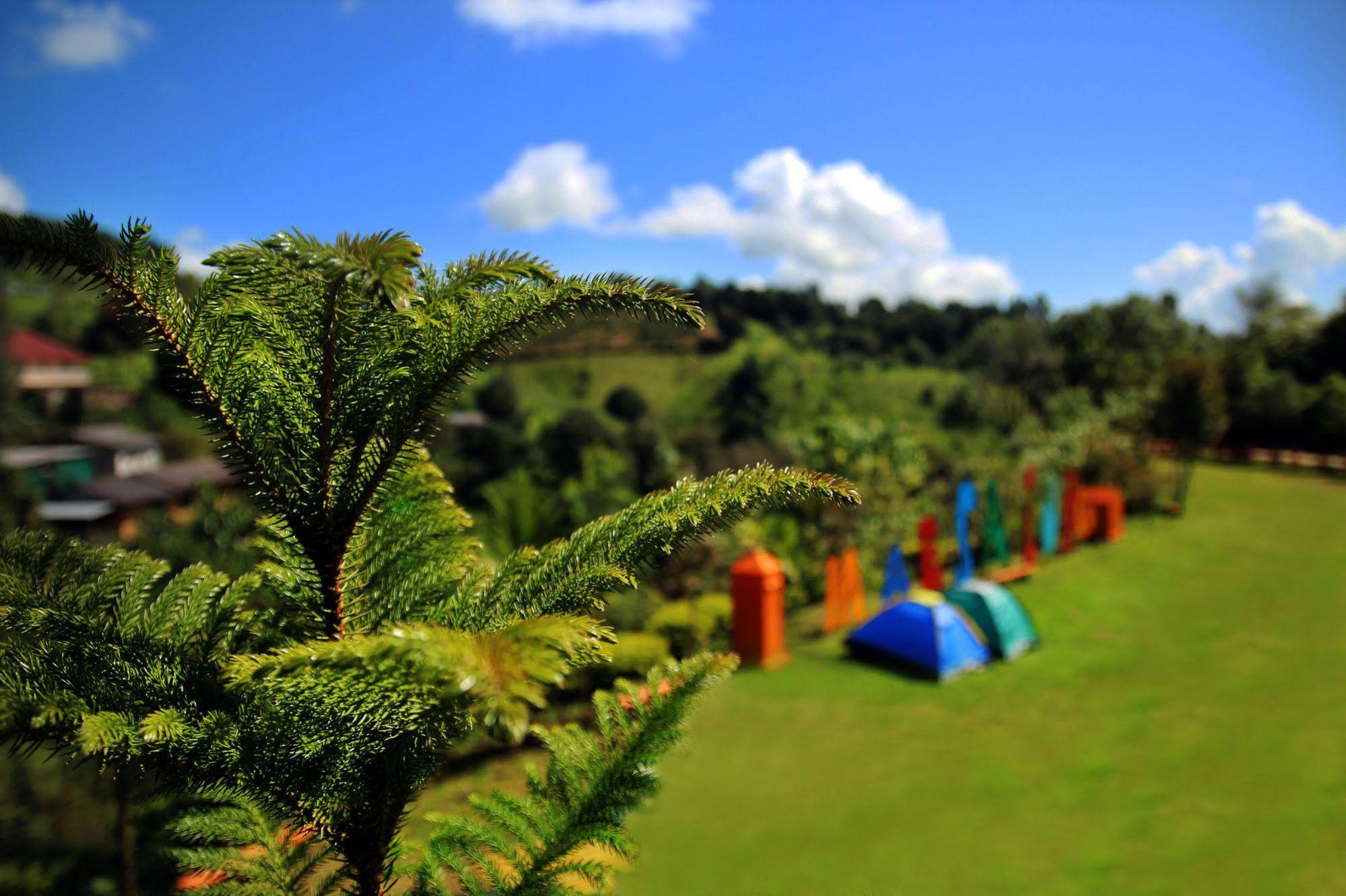 Hongfu Boutique Resort Doi Maesalong