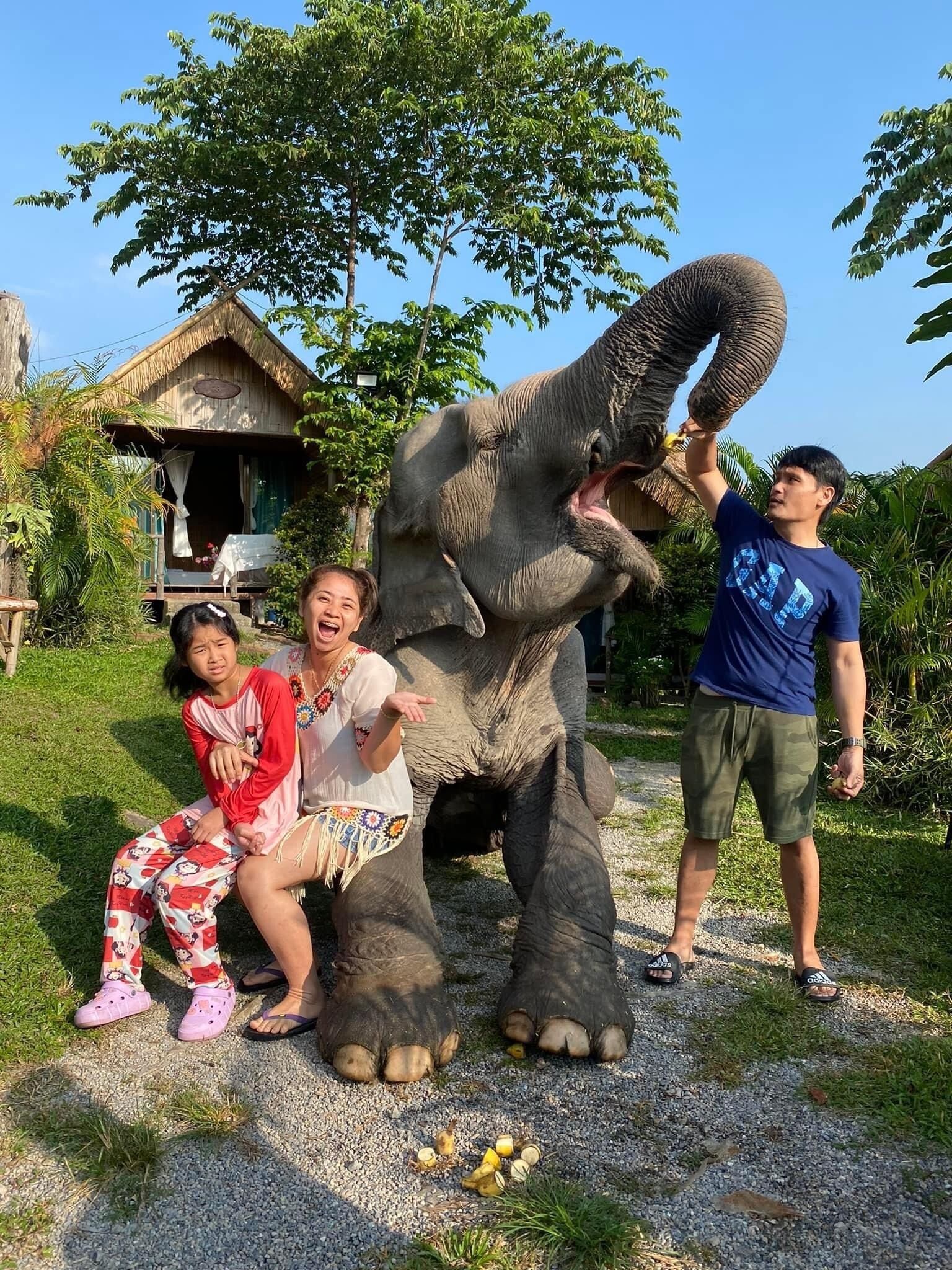 3Pok Resort Maewang Jinxing