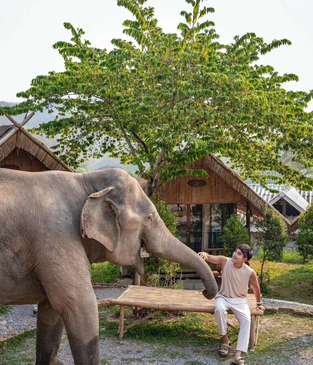 3Pok Resort Maewang Jinxing