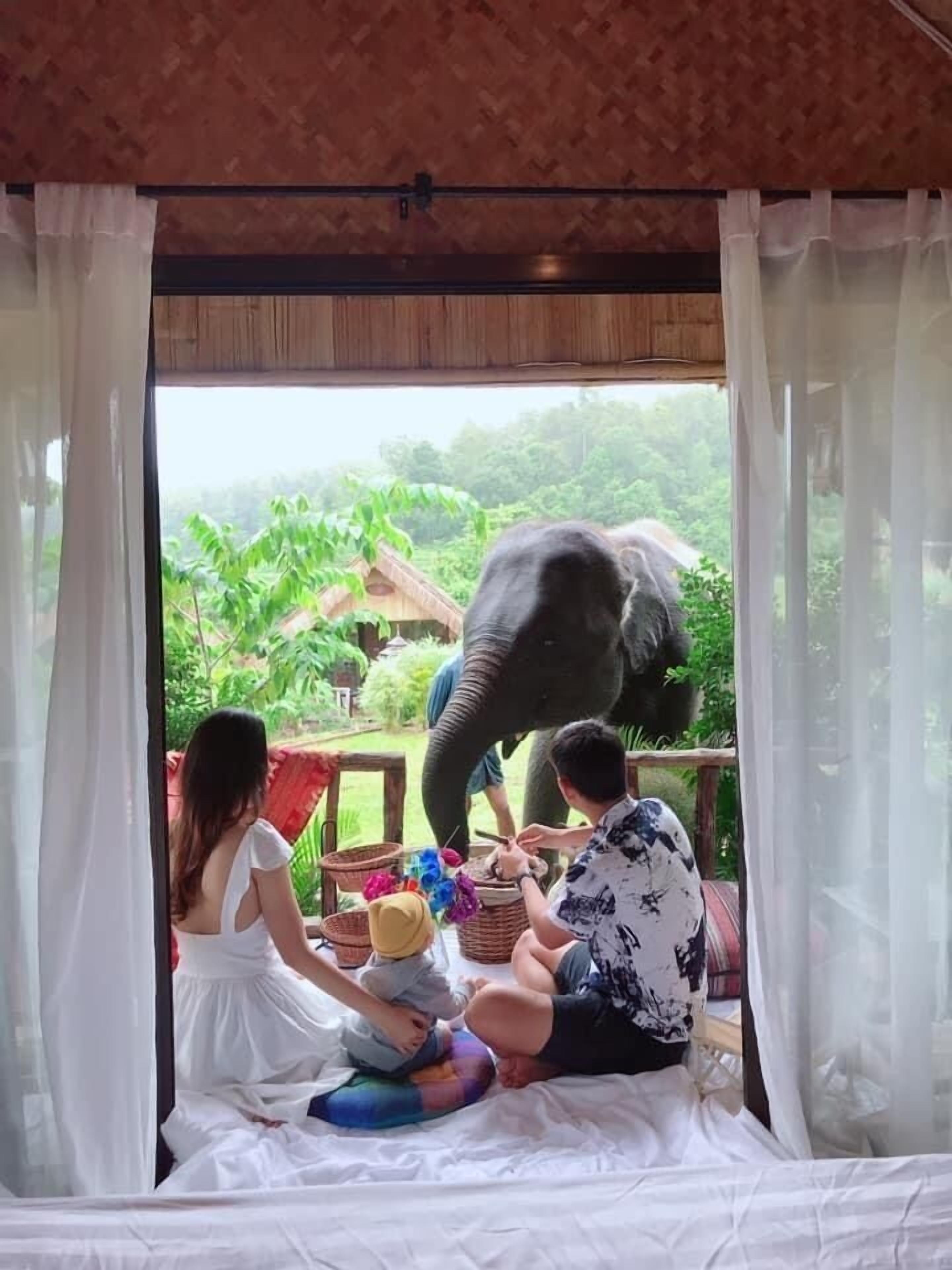 3Pok Resort Maewang Jinxing