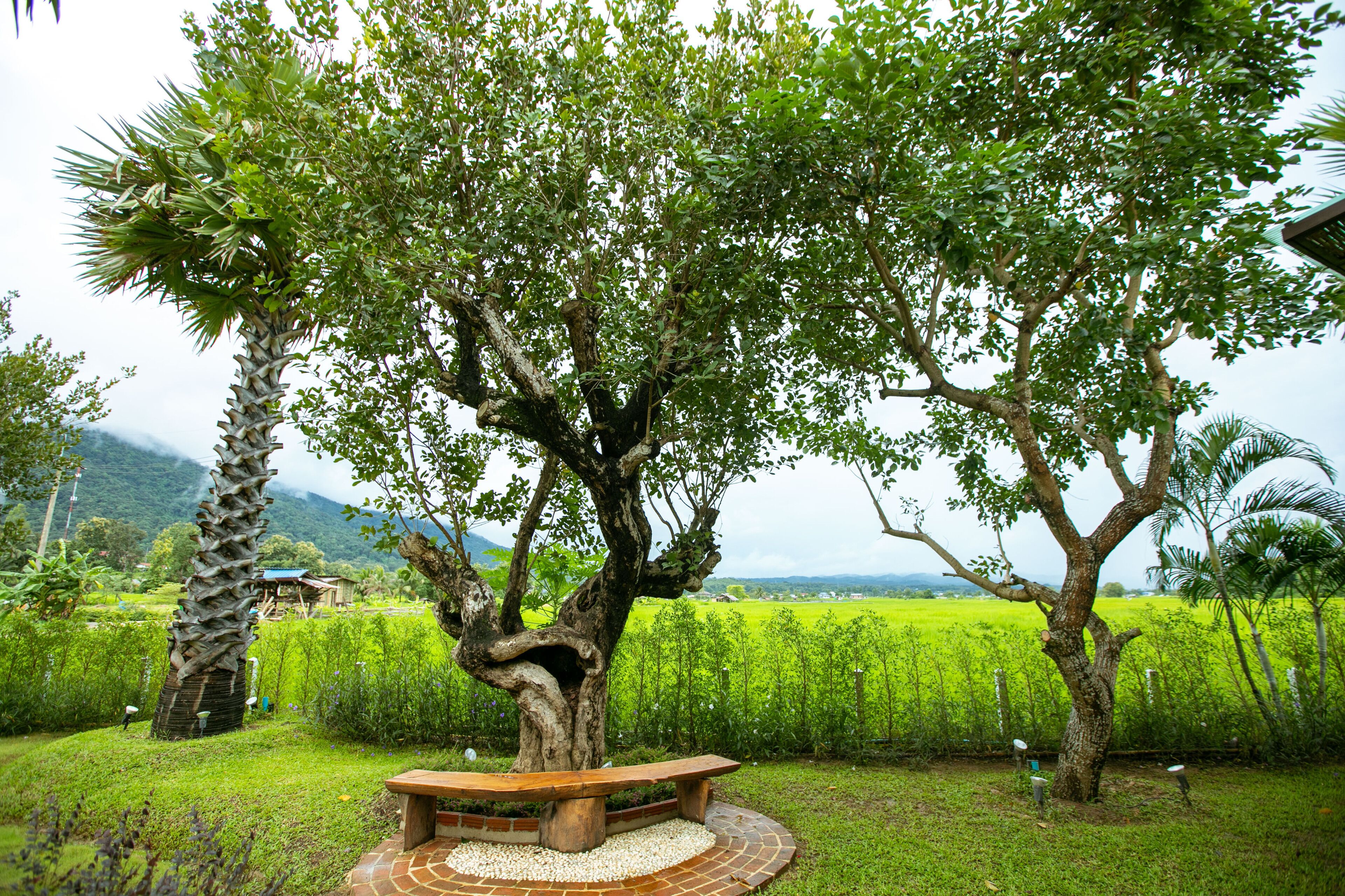 Saksila Resort