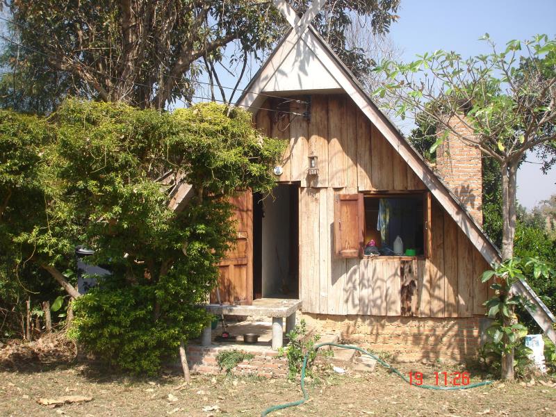 Jungle Zone - Hostel