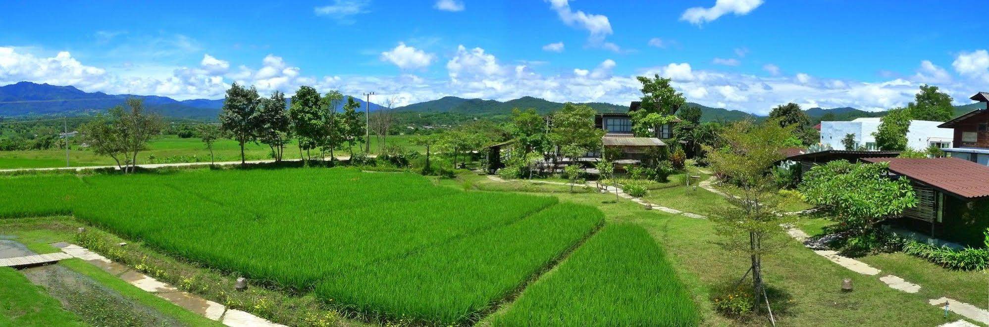 Love Pai Home