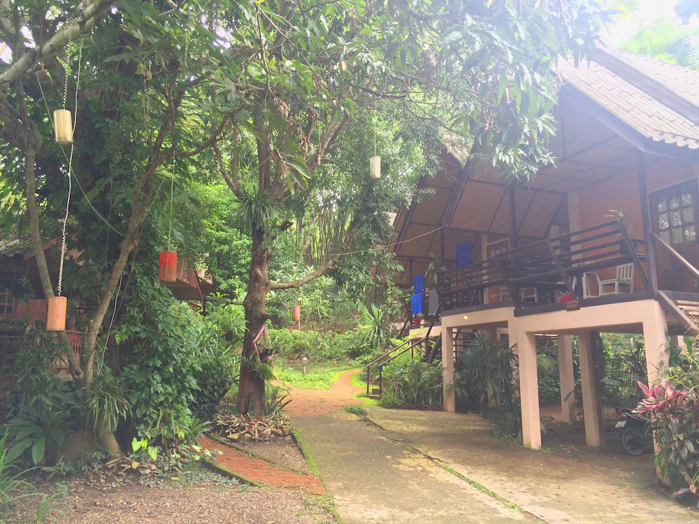Misty View Guesthouse