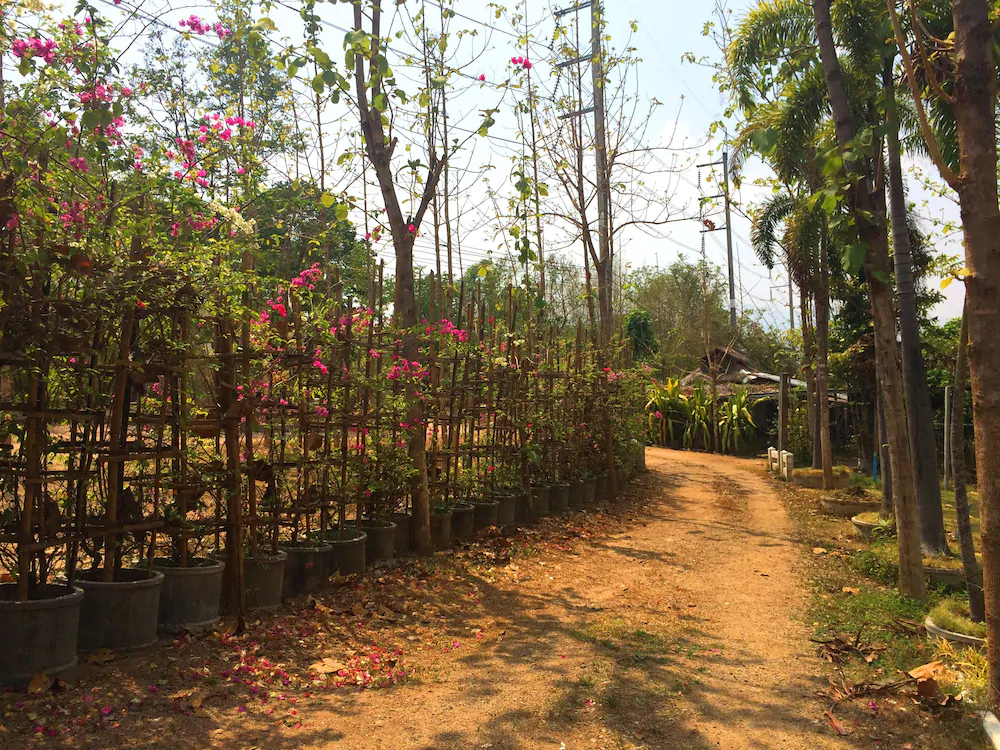 Montri Garden House