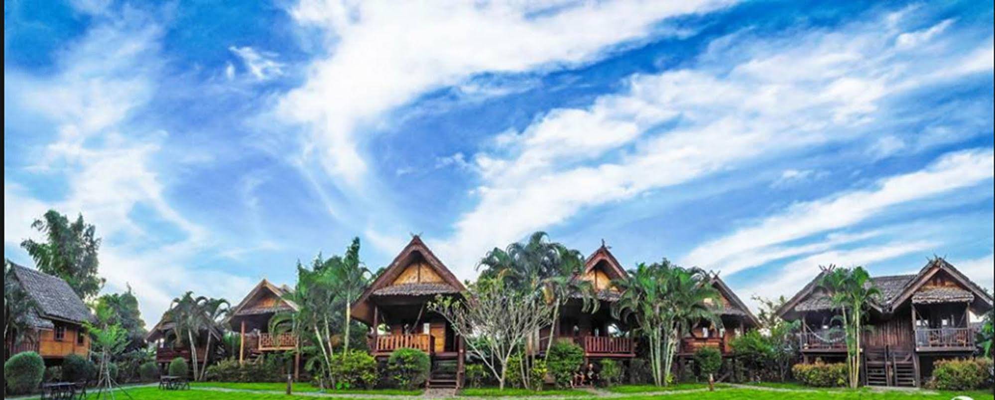 Pai Homey