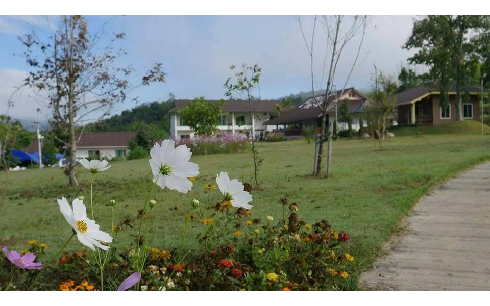 Phu Pai Kaew Resort