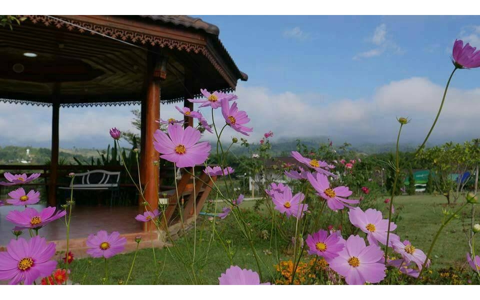 Phu Pai Kaew Resort
