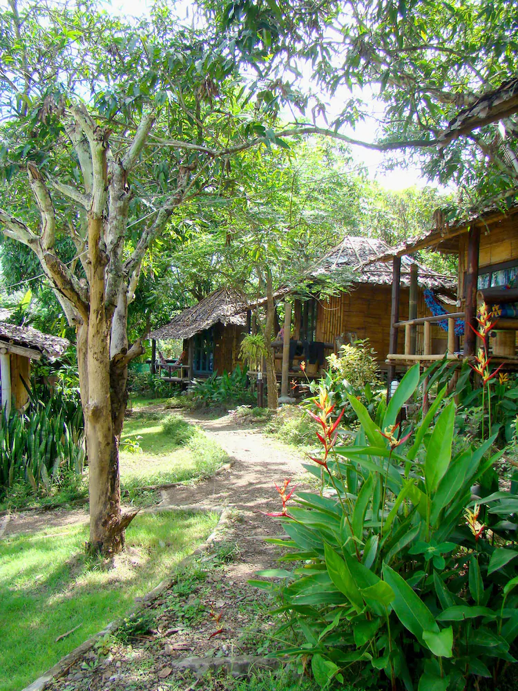 Re - Wild House