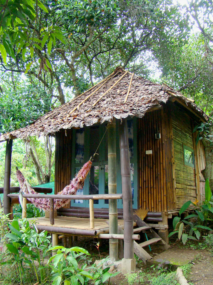 Re - Wild House