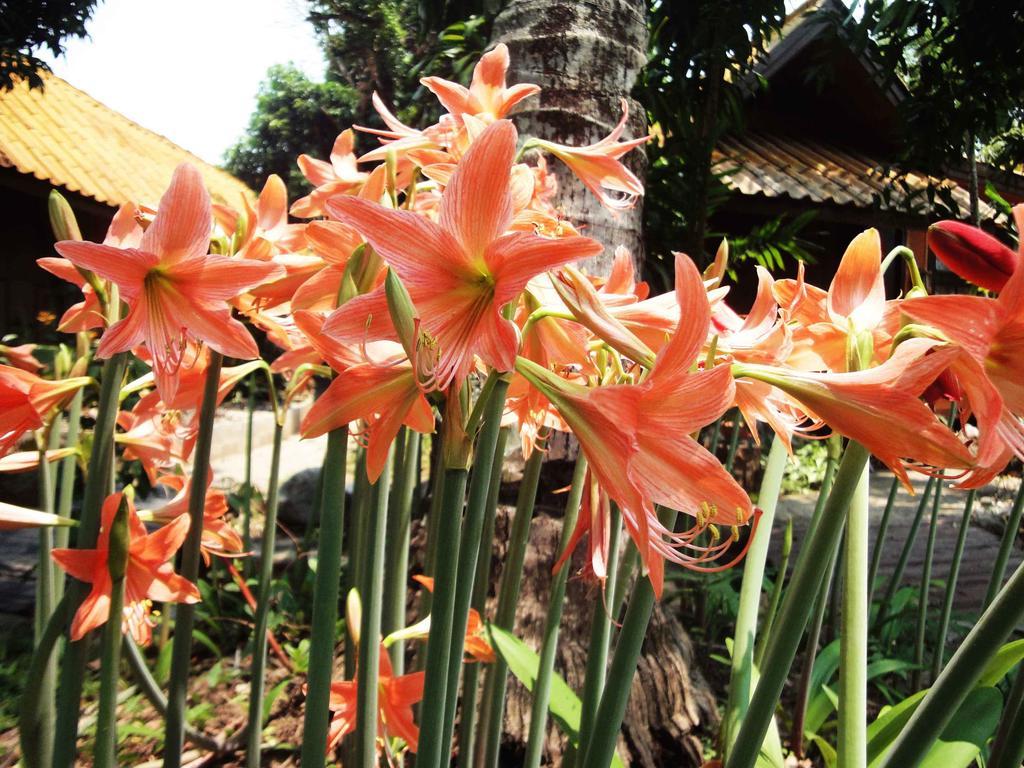 Areeya Phuree Resort