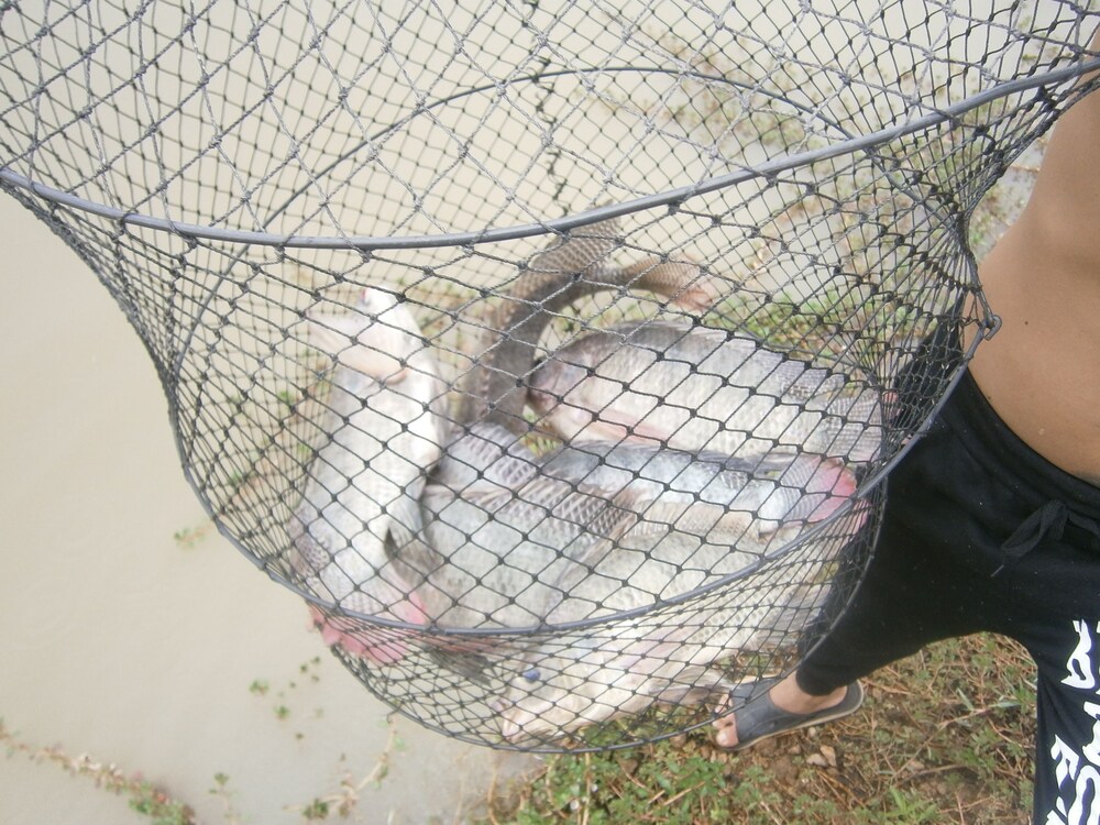 Freddie's Fishing Park