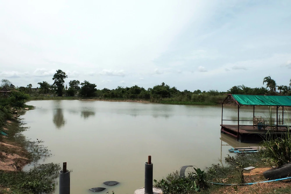 Freddie's Fishing Park