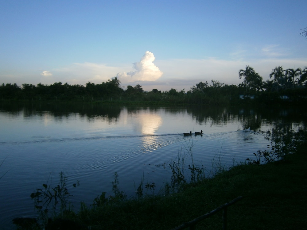 Freddie's Fishing Park