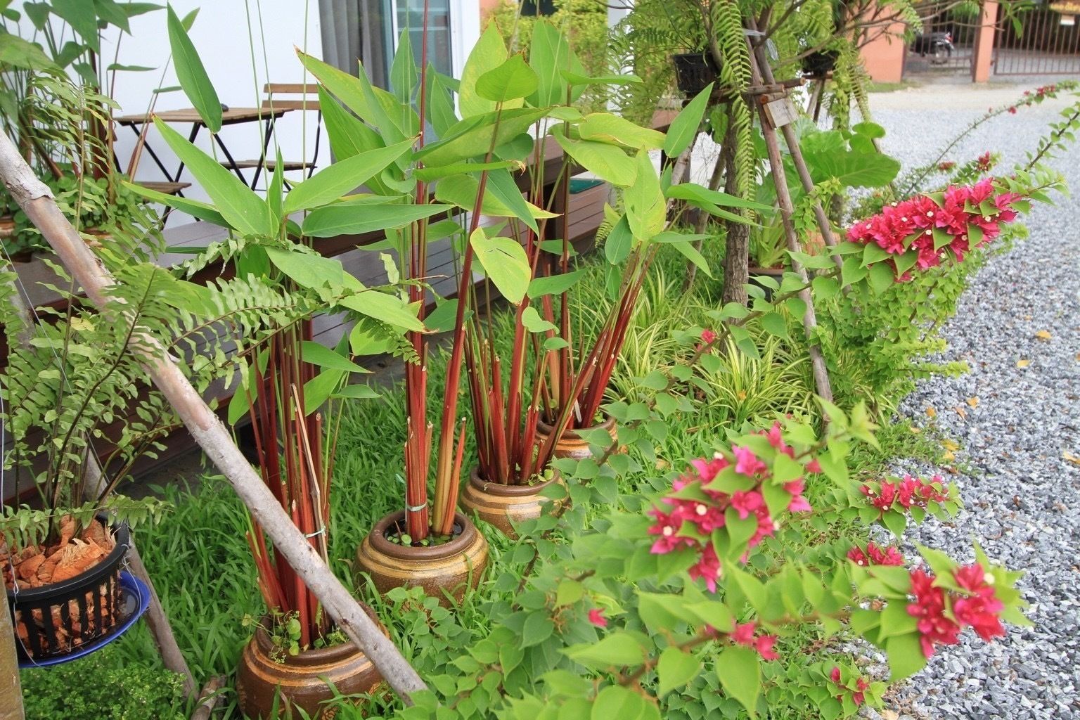 HomeMi Houses Homestay